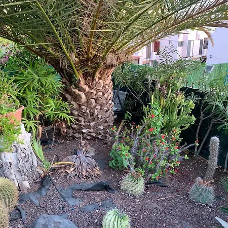 Sur I Sol Cristianos *