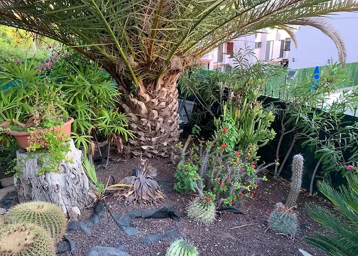 Sur I Sol Cristianos *