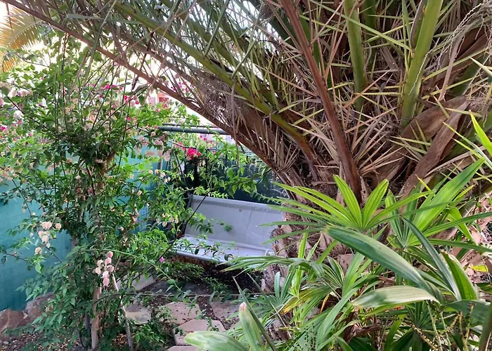 Sur I Sol Cristianos Lägenhet *